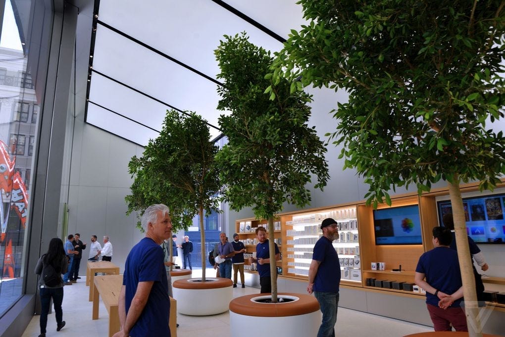Trees + The Apple Store = The Future!